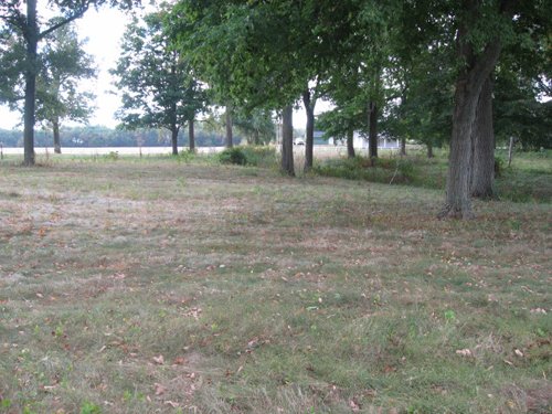 Property photo 56 - 80 Acres Offered in 4 Tracts - Horse Farm
